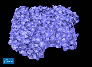 Künstlicher Keramik-Schwamm (Sponceram), TU-Wien, Auflösung 8µm