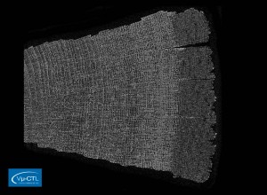 Holz mit Borke, 6.3µm